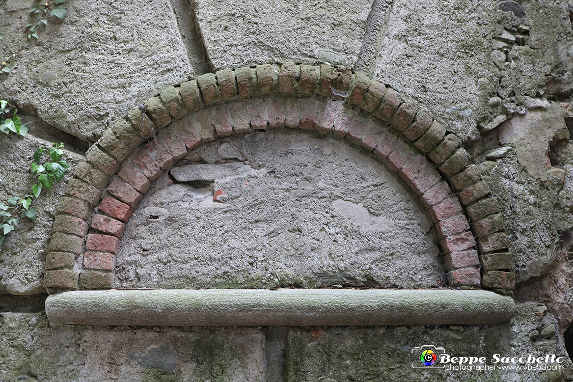 VBS_1595 - Castello di Miradolo - Mostra Oltre il giardino l'Abbecedario di paolo Pejrone.jpg